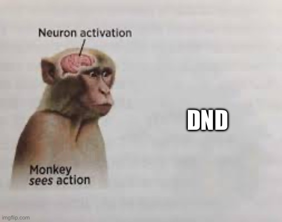 Neuron activation | DND | image tagged in neuron activation | made w/ Imgflip meme maker