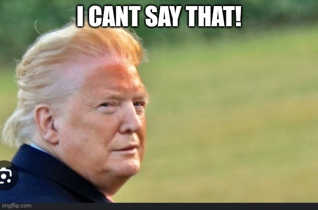 Drag trump | I CANT SAY THAT! | image tagged in drag trump | made w/ Imgflip meme maker