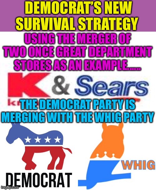 Democrat Party has a plan | DEMOCRAT’S NEW SURVIVAL STRATEGY | image tagged in gifs,democrats,losers,clueless,incompetence | made w/ Imgflip meme maker