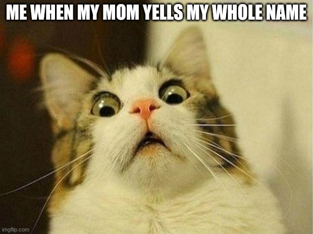 y'know you pissed her off when THAT happens. | ME WHEN MY MOM YELLS MY WHOLE NAME | image tagged in memes,scared cat | made w/ Imgflip meme maker