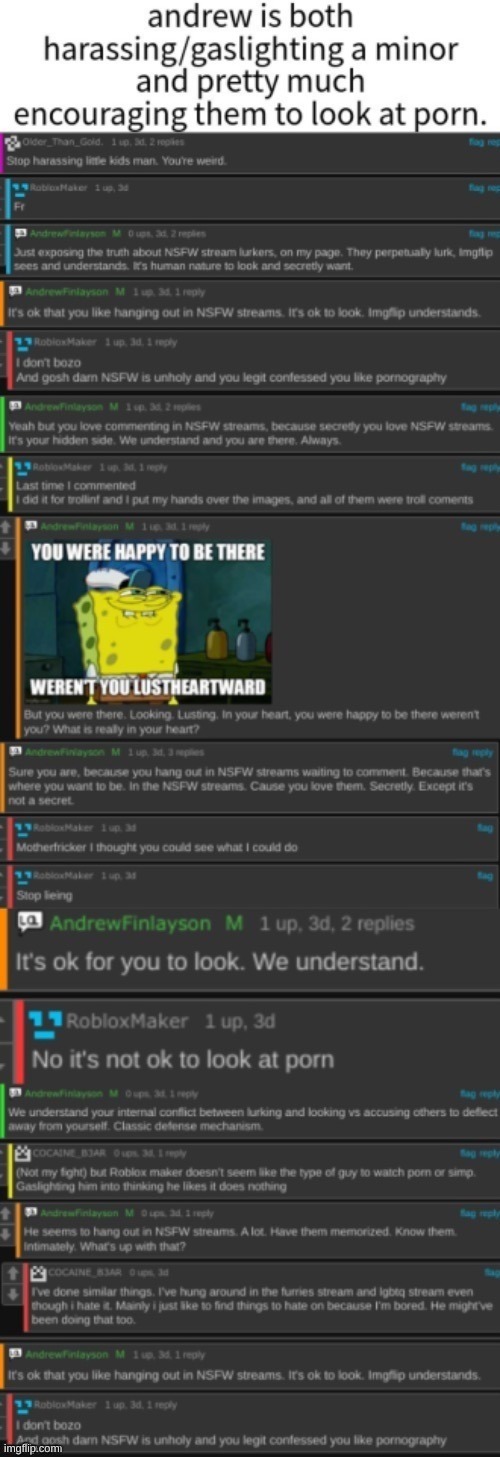 AndrewFinlayson harassing and grooming a minor to view porn | image tagged in andrewfinlayson harassing and grooming a minor to view porn | made w/ Imgflip meme maker