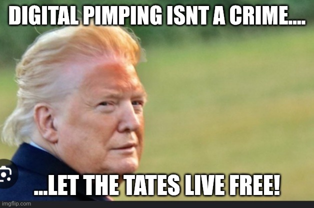 Drag trump | DIGITAL PIMPING ISNT A CRIME.... ...LET THE TATES LIVE FREE! | image tagged in drag trump | made w/ Imgflip meme maker