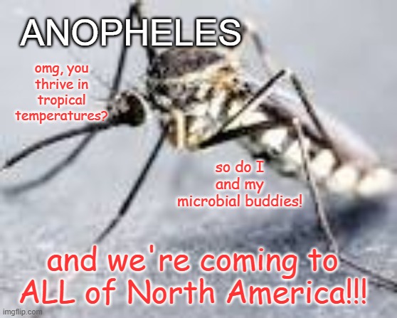 What does climate change actually mean? Part 1 of MANY | ANOPHELES; omg, you thrive in tropical temperatures? so do I and my microbial buddies! and we're coming to ALL of North America!!! | image tagged in climate change,death,disease,apocalypse,mosquitoes | made w/ Imgflip meme maker