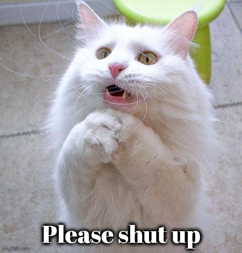 Begging Cat | Please shut up | image tagged in begging cat | made w/ Imgflip meme maker