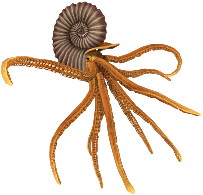 Ammonite (JWTG Design) Blank Meme Template