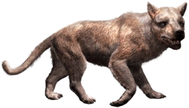 Amphicyon (JWA Design) Blank Meme Template