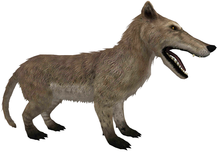 Andrewsarchus (JWTG Design) Blank Meme Template