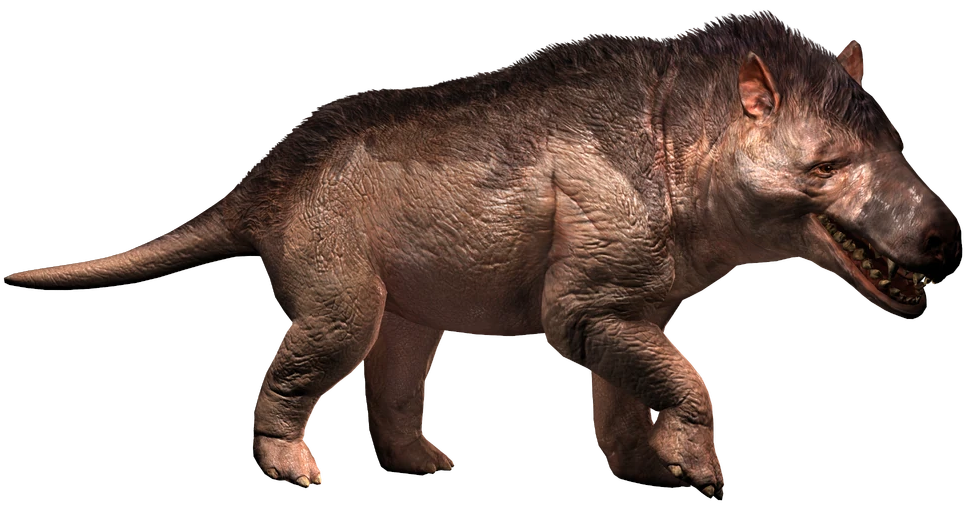 Andrewsarchus (JWA Design) Blank Meme Template