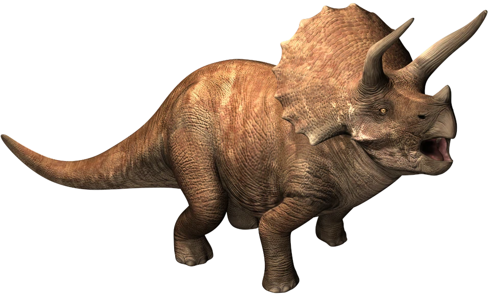 Triceratops 7 Blank Meme Template