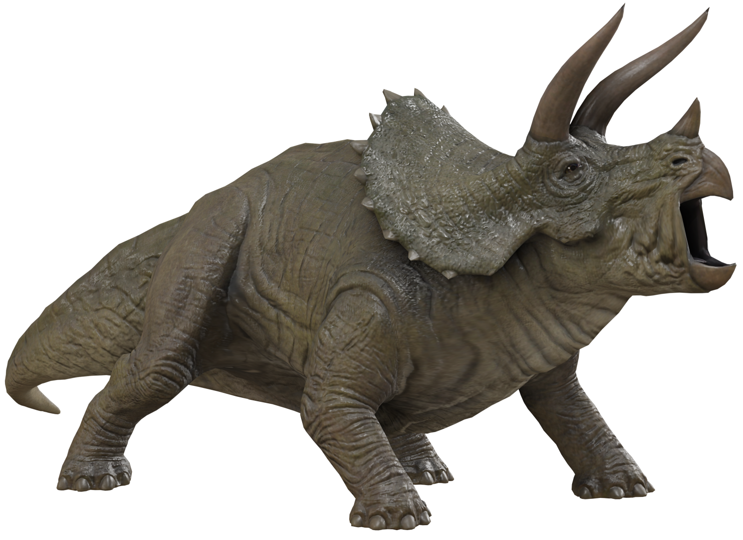 Triceratops 8 Blank Meme Template
