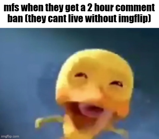 what's worse is they said more which escalated their ban time | mfs when they get a 2 hour comment ban (they cant live without imgflip) | image tagged in crying duck | made w/ Imgflip meme maker