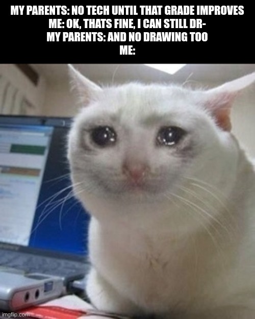 but...but i like drawing... | MY PARENTS: NO TECH UNTIL THAT GRADE IMPROVES
ME: OK, THATS FINE, I CAN STILL DR-
MY PARENTS: AND NO DRAWING TOO
ME: | image tagged in crying cat | made w/ Imgflip meme maker