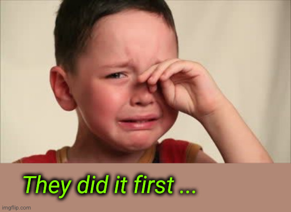 They did it first ... | image tagged in crying kid | made w/ Imgflip meme maker