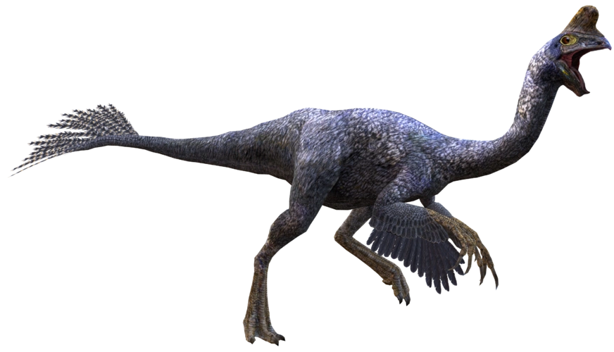 Oviraptor (JWA Design) Blank Meme Template
