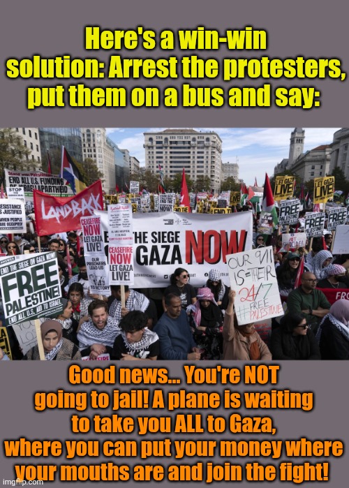 C'mon, Libs... Grow some stones 'n show how committed you are!! | Here's a win-win solution: Arrest the protesters, put them on a bus and say:; Good news... You're NOT going to jail! A plane is waiting to take you ALL to Gaza, where you can put your money where your mouths are and join the fight! | made w/ Imgflip meme maker