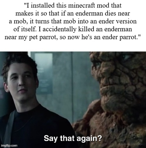 Say that again? | "I installed this minecraft mod that makes it so that if an enderman dies near a mob, it turns that mob into an ender version of itself. I accidentally killed an enderman near my pet parrot, so now he's an ender parrot." | image tagged in say that again | made w/ Imgflip meme maker