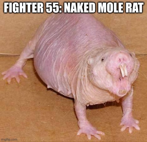 Bro chose pac man | FIGHTER 55: NAKED MOLE RAT | image tagged in naked mole rat | made w/ Imgflip meme maker