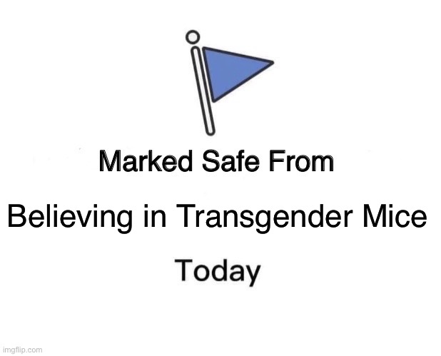 Marked Safe From | Believing in Transgender Mice | image tagged in memes,marked safe from | made w/ Imgflip meme maker