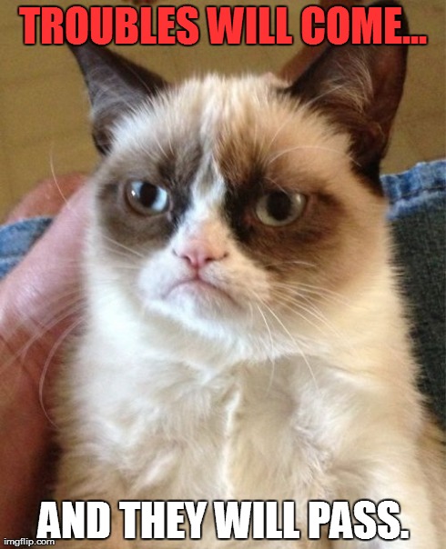 Grumpy Cat Meme | TROUBLES WILL COME... AND THEY WILL PASS. | image tagged in memes,grumpy cat | made w/ Imgflip meme maker