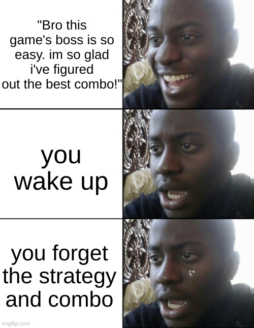 "Bro this game's boss is so easy. im so glad i've figured out the best combo!"; you wake up; you forget the strategy and combo | image tagged in happy / shock | made w/ Imgflip meme maker