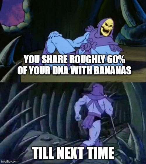 Does that make us cannibals for eating one? | YOU SHARE ROUGHLY 60% OF YOUR DNA WITH BANANAS; TILL NEXT TIME | image tagged in skeletor disturbing facts | made w/ Imgflip meme maker