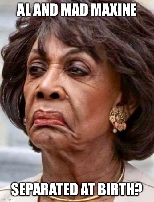 Maxine Waters | AL AND MAD MAXINE SEPARATED AT BIRTH? | image tagged in maxine waters | made w/ Imgflip meme maker