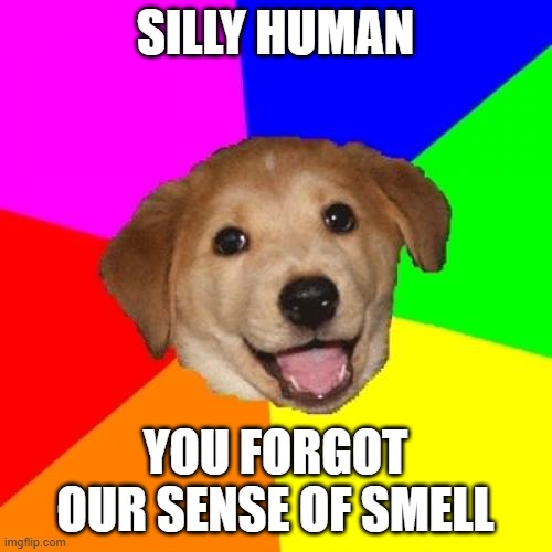 Advice Dog Meme | SILLY HUMAN YOU FORGOT OUR SENSE OF SMELL | image tagged in memes,advice dog | made w/ Imgflip meme maker
