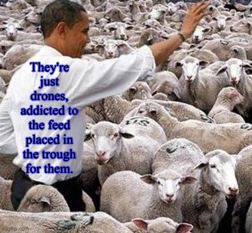 Freedom Of Choice Is What You Got, Freedom From Choice Is What You Want ? | They're just drones, addicted to the feed placed in the trough for them. | image tagged in obama sheep,politics,political meme,funny memes,funny | made w/ Imgflip meme maker