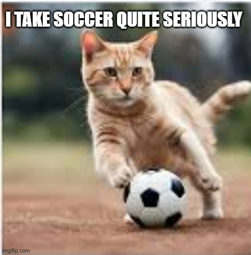 memes by Brad - My cat takes soccer quite seriously | I TAKE SOCCER QUITE SERIOUSLY | image tagged in sports,animals,cats,funny,kitten,soccer | made w/ Imgflip meme maker