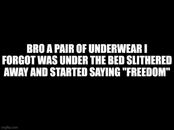 BRO A PAIR OF UNDERWEAR I FORGOT WAS UNDER THE BED SLITHERED AWAY AND STARTED SAYING "FREEDOM" | made w/ Imgflip meme maker
