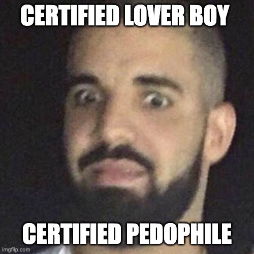 Tyrna Strike A Chord and its prolly A-MINOR!!!!!! | CERTIFIED LOVER BOY; CERTIFIED PEDOPHILE | image tagged in shocked drake | made w/ Imgflip meme maker