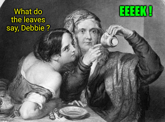 The Tea Leaves Say... You Have Full Blown TDS | EEEEK ! What do the leaves say, Debbie ? | image tagged in the tea leaves say,political meme,politics,funny memes,funny,terminal tds | made w/ Imgflip meme maker