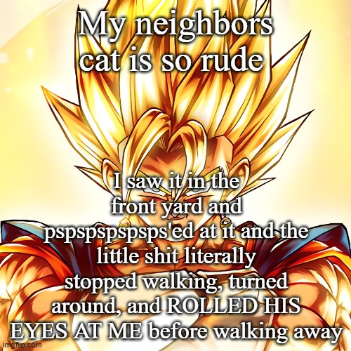 Vegito stanced tf up | My neighbors cat is so rude; I saw it in the front yard and pspspspspsps'ed at it and the little shit literally stopped walking, turned around, and ROLLED HIS EYES AT ME before walking away | image tagged in vegito stanced tf up | made w/ Imgflip meme maker