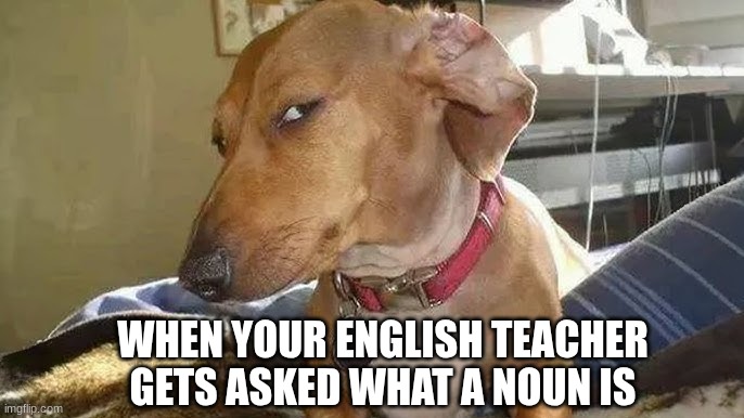 Forgetting What A Noun Is: | WHEN YOUR ENGLISH TEACHER GETS ASKED WHAT A NOUN IS | image tagged in teacher,teachers,english,english teachers,side eye,noun | made w/ Imgflip meme maker