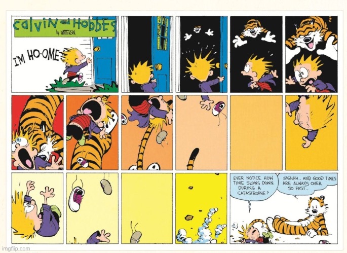 Hobbes welcomes Calvin home from school! | image tagged in calvin and hobbes | made w/ Imgflip meme maker