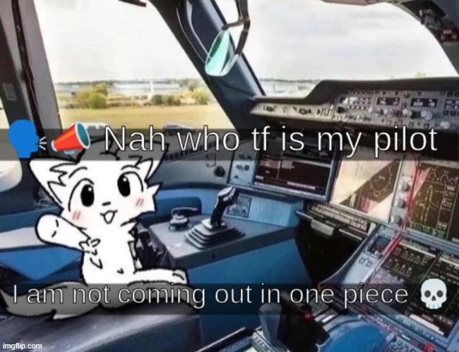 made w/ Imgflip meme maker
