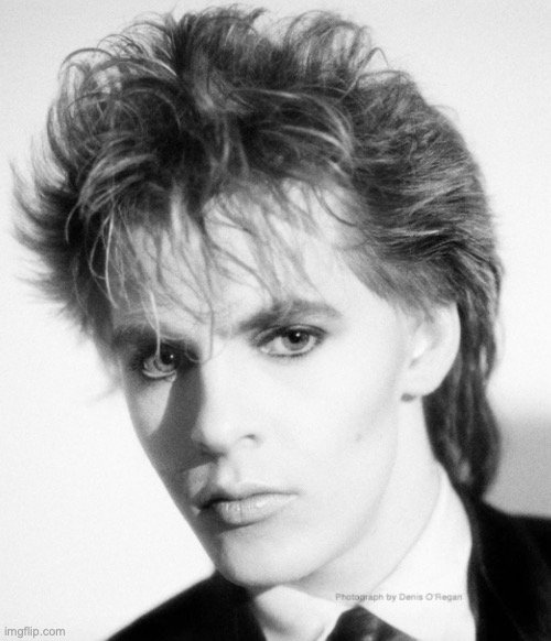 HALP HE'S GORGEOUS | image tagged in nick rhodes | made w/ Imgflip meme maker