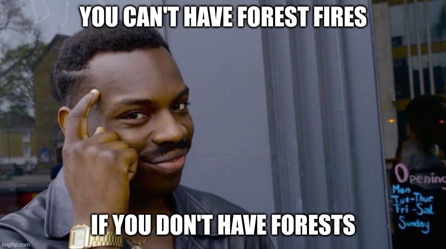 Good thinking | YOU CAN'T HAVE FOREST FIRES; IF YOU DON'T HAVE FORESTS | image tagged in good thinking | made w/ Imgflip meme maker