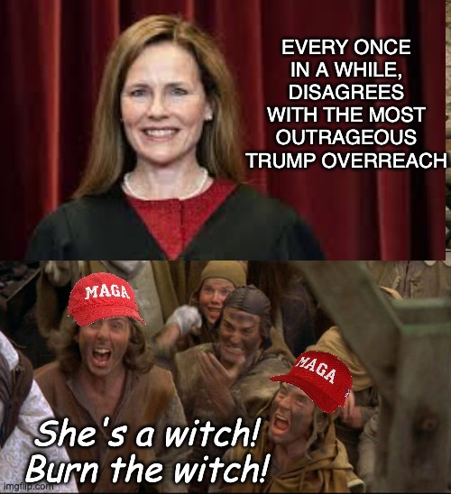 She's no hero, but they hate anyone who doesn't 100% kiss the ring, always | EVERY ONCE IN A WHILE, DISAGREES WITH THE MOST OUTRAGEOUS TRUMP OVERREACH; She's a witch!
Burn the witch! | image tagged in burn the witch,maga,supreme court | made w/ Imgflip meme maker