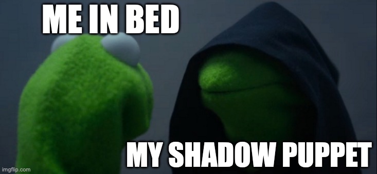 Evil Kermit | ME IN BED; MY SHADOW PUPPET | image tagged in memes,evil kermit | made w/ Imgflip meme maker