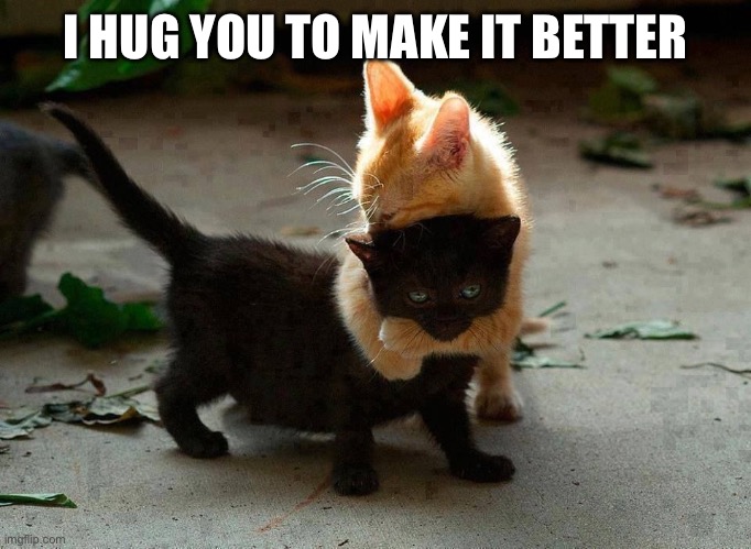 kitten hug | I HUG YOU TO MAKE IT BETTER | image tagged in kitten hug | made w/ Imgflip meme maker