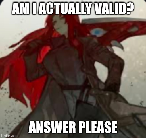 AM I ACTUALLY VALID? ANSWER PLEASE | made w/ Imgflip meme maker