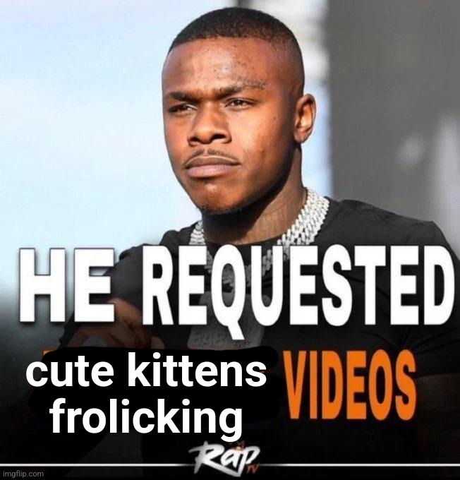 cute kittens frolicking | made w/ Imgflip meme maker