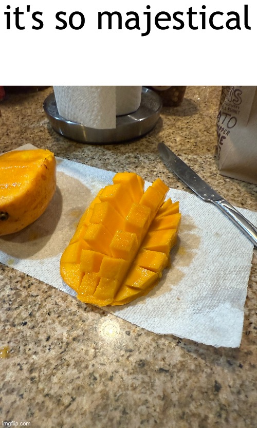 mangos are THE fruit i don't care what any of yall say | it's so majestical | made w/ Imgflip meme maker