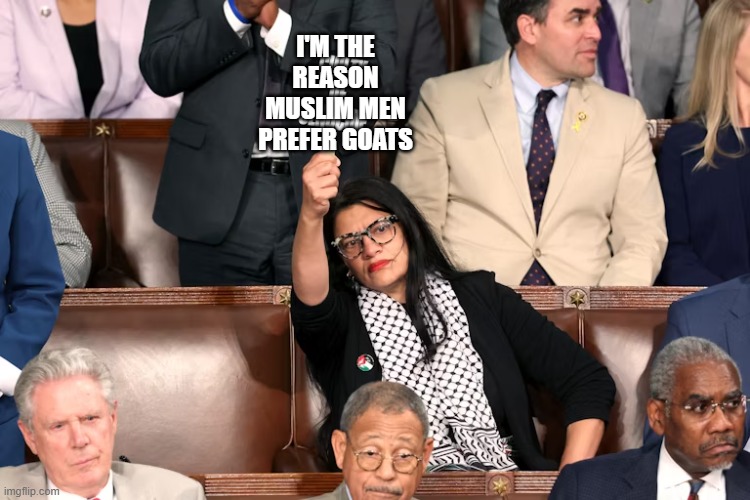 LOL!!!! Rashida Tlaib | I'M THE REASON MUSLIM MEN PREFER GOATS | image tagged in michigan,democrat,muslim,congress,lol,goats | made w/ Imgflip meme maker