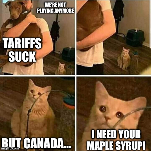 Americans are missing their Canadian goodies | WE'RE NOT PLAYING ANYMORE; TARIFFS SUCK; BUT CANADA... I NEED YOUR MAPLE SYRUP! | image tagged in sad cat holding dog,tariffs,canada,maple syrup,americans,memes | made w/ Imgflip meme maker