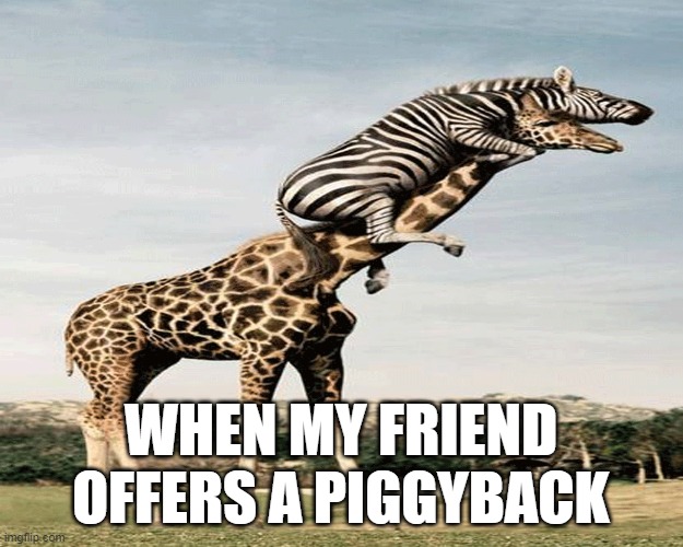 Mmm-hmmm | WHEN MY FRIEND OFFERS A PIGGYBACK | image tagged in animals | made w/ Imgflip meme maker