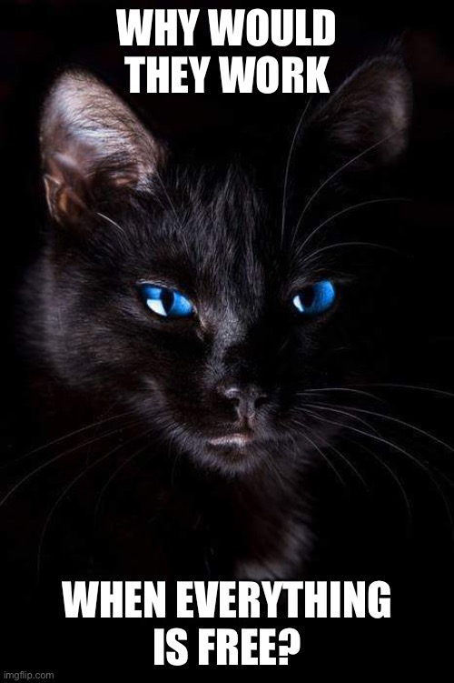 Black cat blue eyes | WHY WOULD THEY WORK WHEN EVERYTHING IS FREE? | image tagged in black cat blue eyes | made w/ Imgflip meme maker