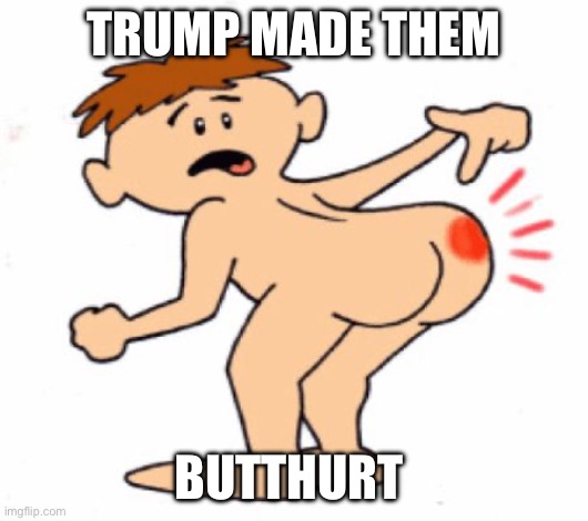 Butthurt | TRUMP MADE THEM BUTTHURT | image tagged in butthurt | made w/ Imgflip meme maker