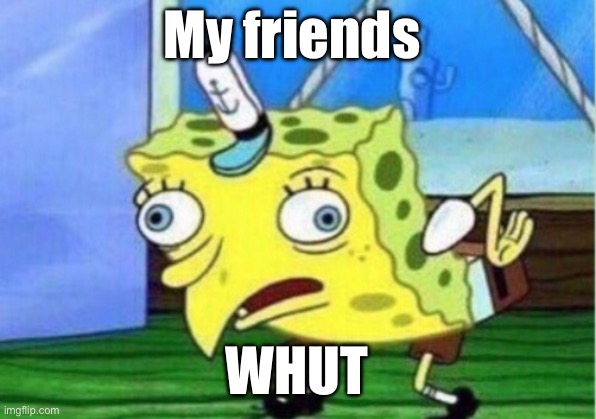 Mocking Spongebob | My friends; WHUT | image tagged in memes,mocking spongebob | made w/ Imgflip meme maker